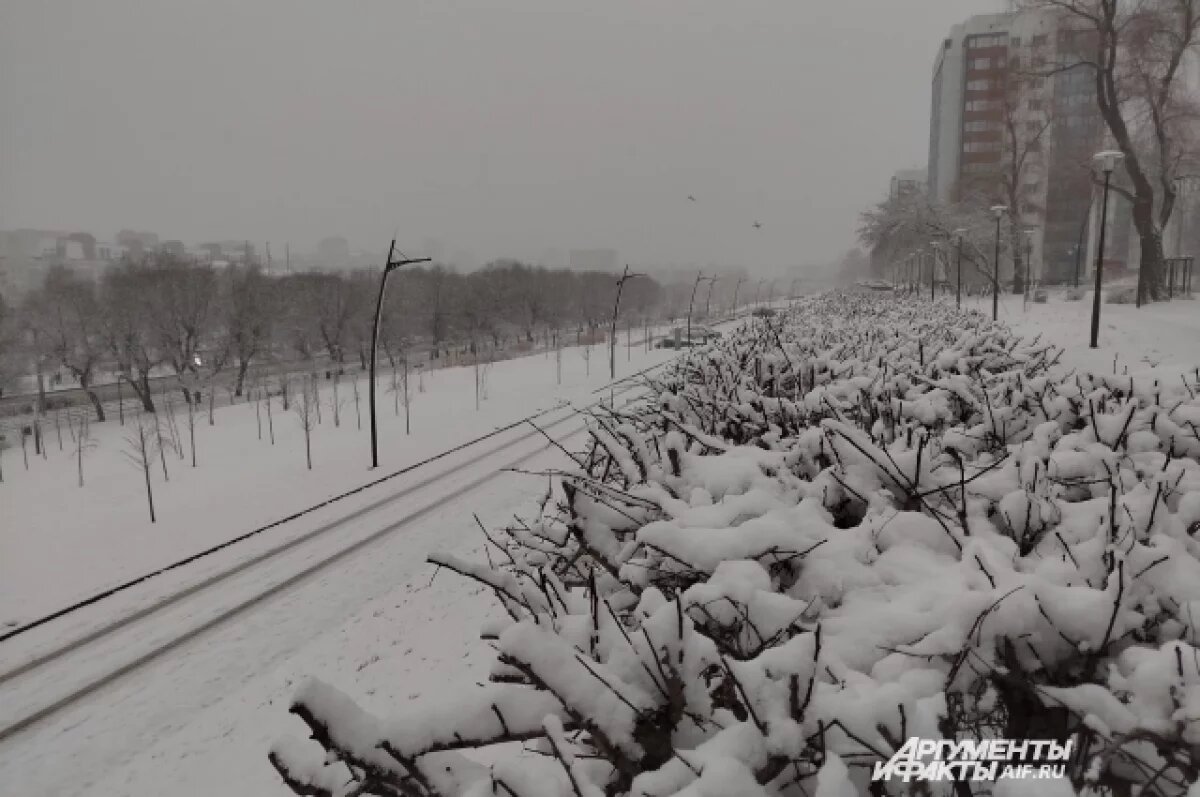    В Перми может повториться снежный коллапс декабря 2022 года