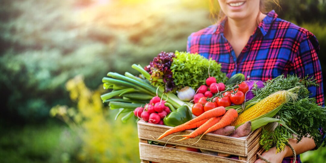 «Аквамикс М» — не просто удобрение, а секретное оружие для богатого урожая.