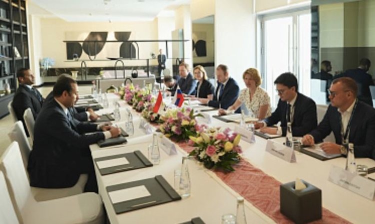    Россия готова поставлять Египту больше минеральных удобрений