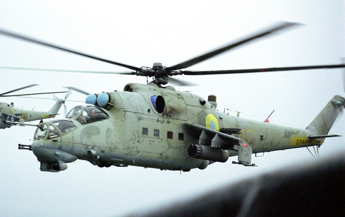     / Источник: © Global Look Press