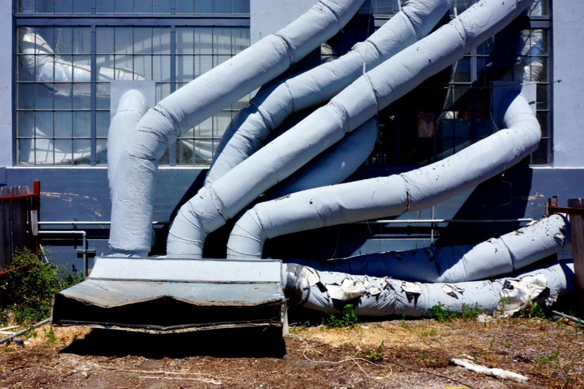 Исследования показывают, что у людей с высокой креативностью крепче связи в нейронной сети мозга