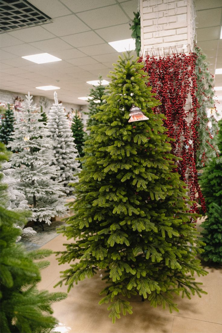 Источник: ru.pinterest.com