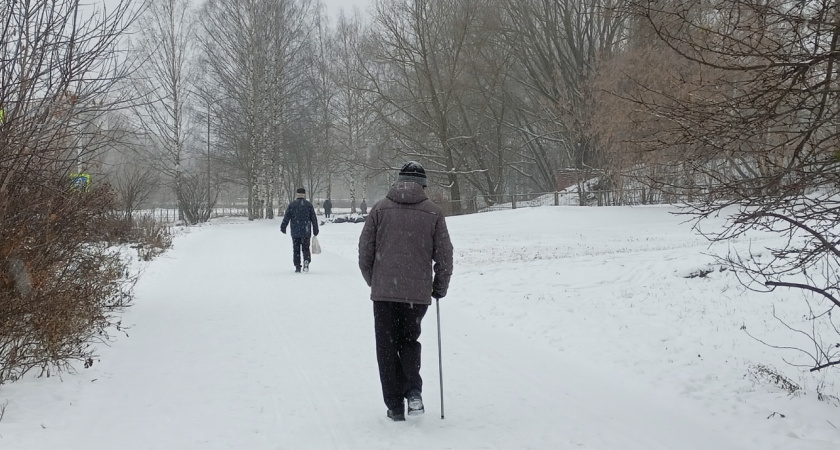    Фото progorod43.ru