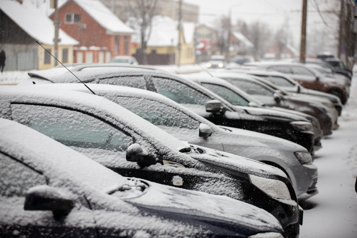 Фото: Тульская служба новостей