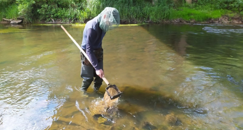    Фото из архива ФИЦ Коми научный центр УрО РАН