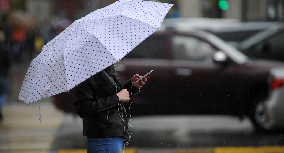    Медиасток.рф