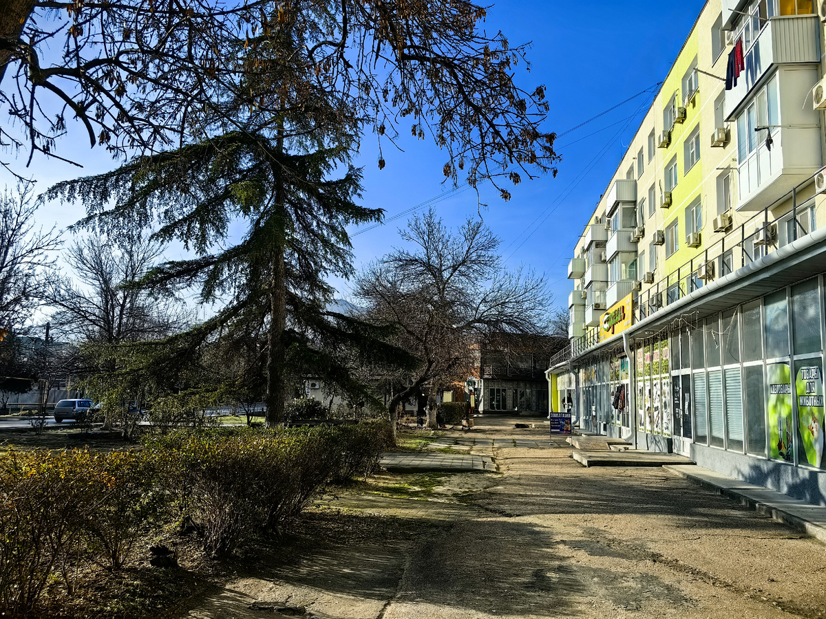 Сегодня. Фото автора канала