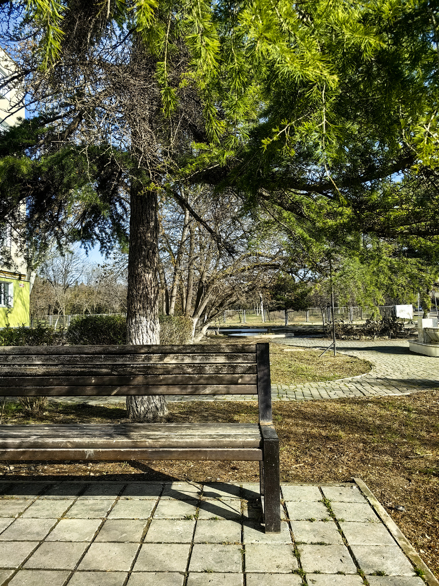 Сегодня. Фото автора канала 