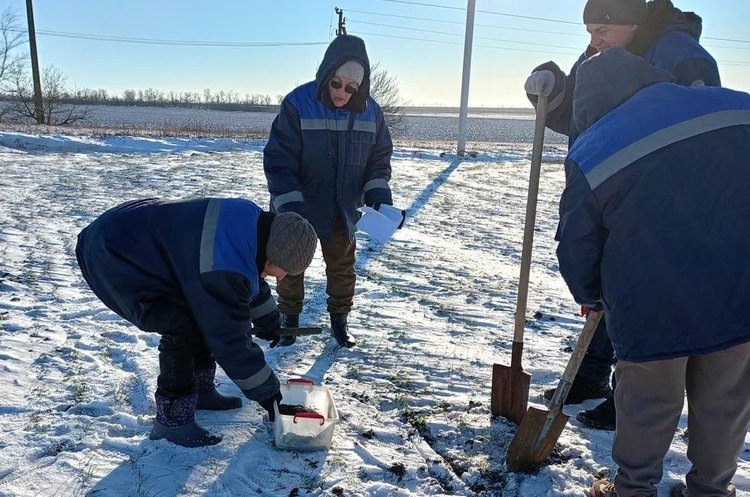    Фото: Служба по связям с общественностью филиала «Донецкий» Российского сельскохозяйственного центра