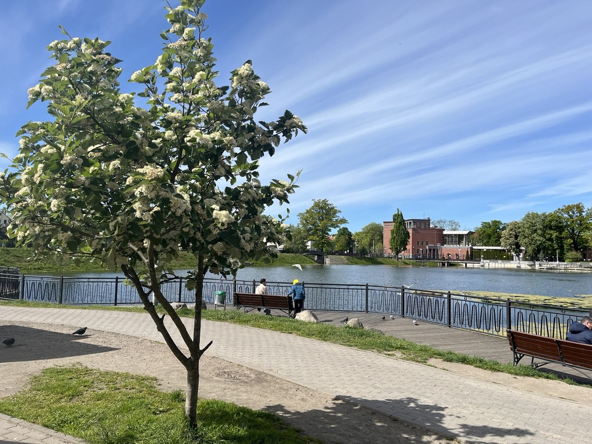 Пруд Поплавок весной.