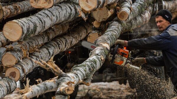    © Sputnik / Павел Лисицын