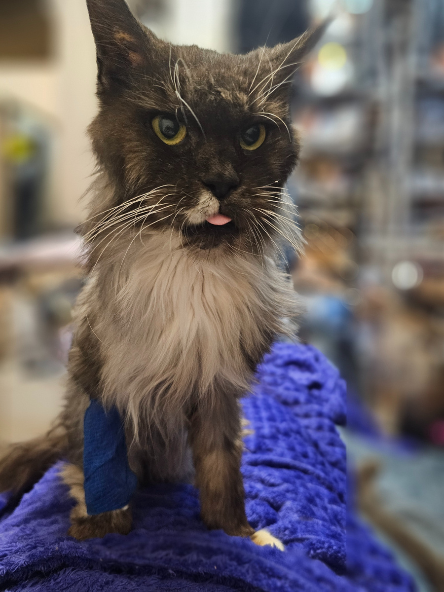 Фото автора. Соня наша.