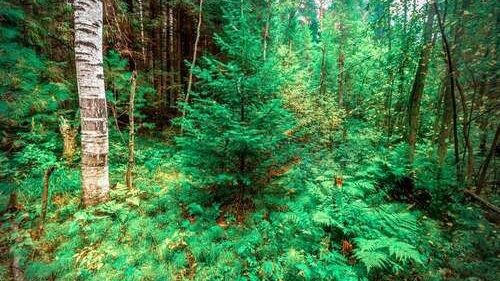    Фото: Tramp57/Shutterstock/Fotodom