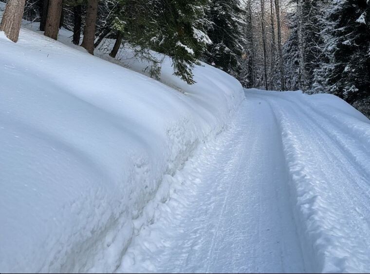 Изображение сгенерировано нейросетью. 