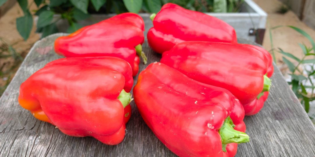 Пошуршим перцами?