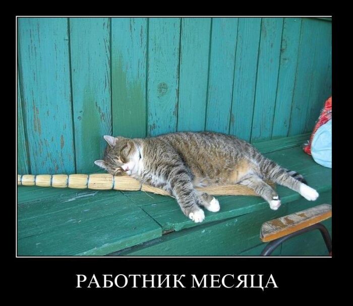 источник Яндекс-картинки