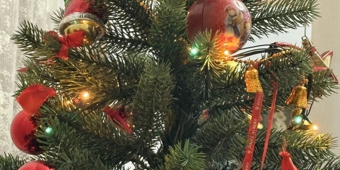 В Запорожской области депутат исполнил желание школьника в рамках «Ёлки желаний»