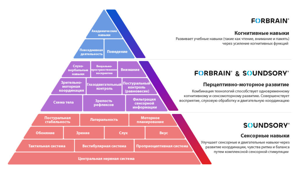 Пирамида развития и работа Forbrain + Soundsory