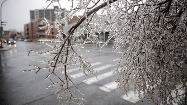    © AP / ANDREJ IVANOV