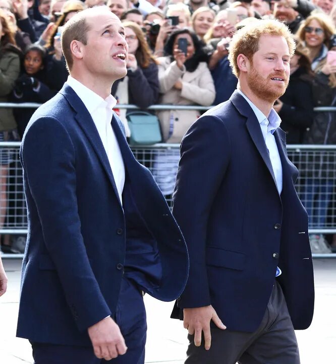 фото из яндекса