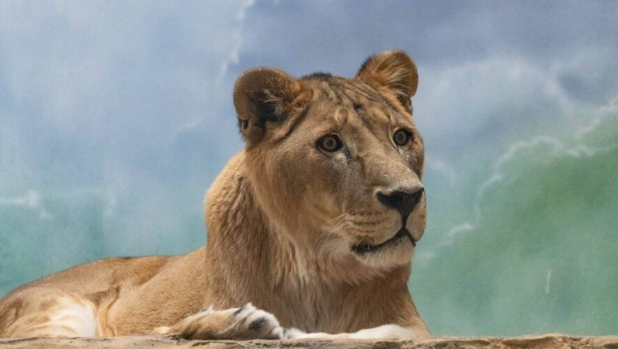    Фото: KazanFirst