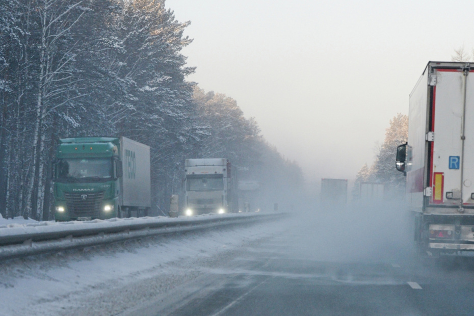    Александр Кондратюк/РИА Новости