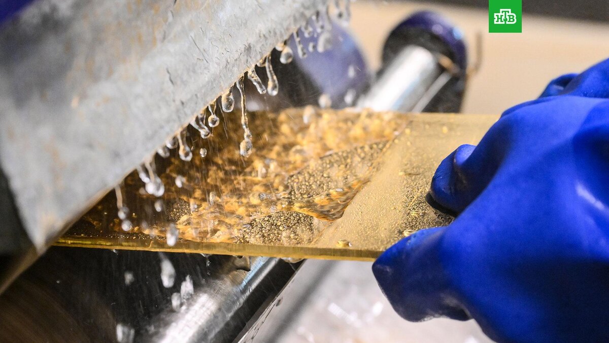    Фото: РИА Новости © 2026, Илья Питалев