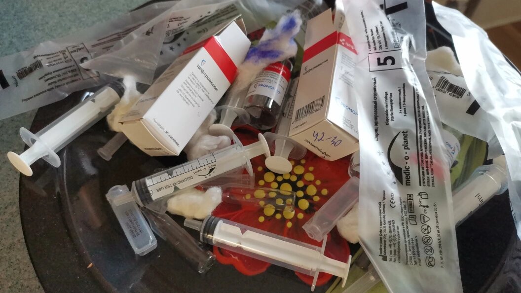    Фото: Телеканал Царьград