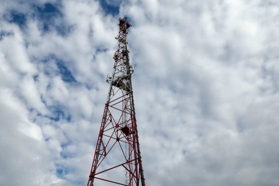    Наталья Шатохина/NEWS.ru