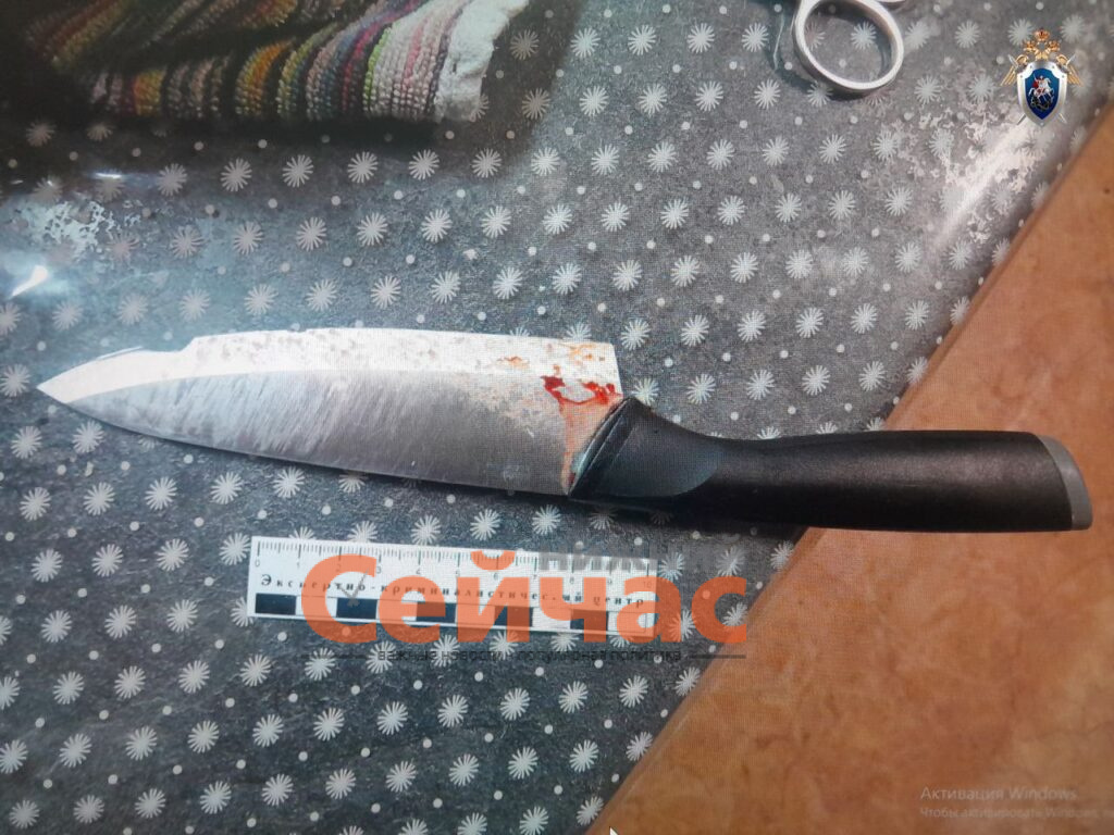    Фото: СУ СК России по Нижегородской области Редакция nn-now