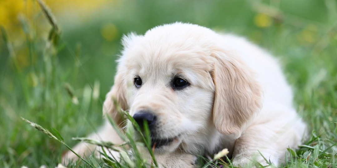 Не время уходить