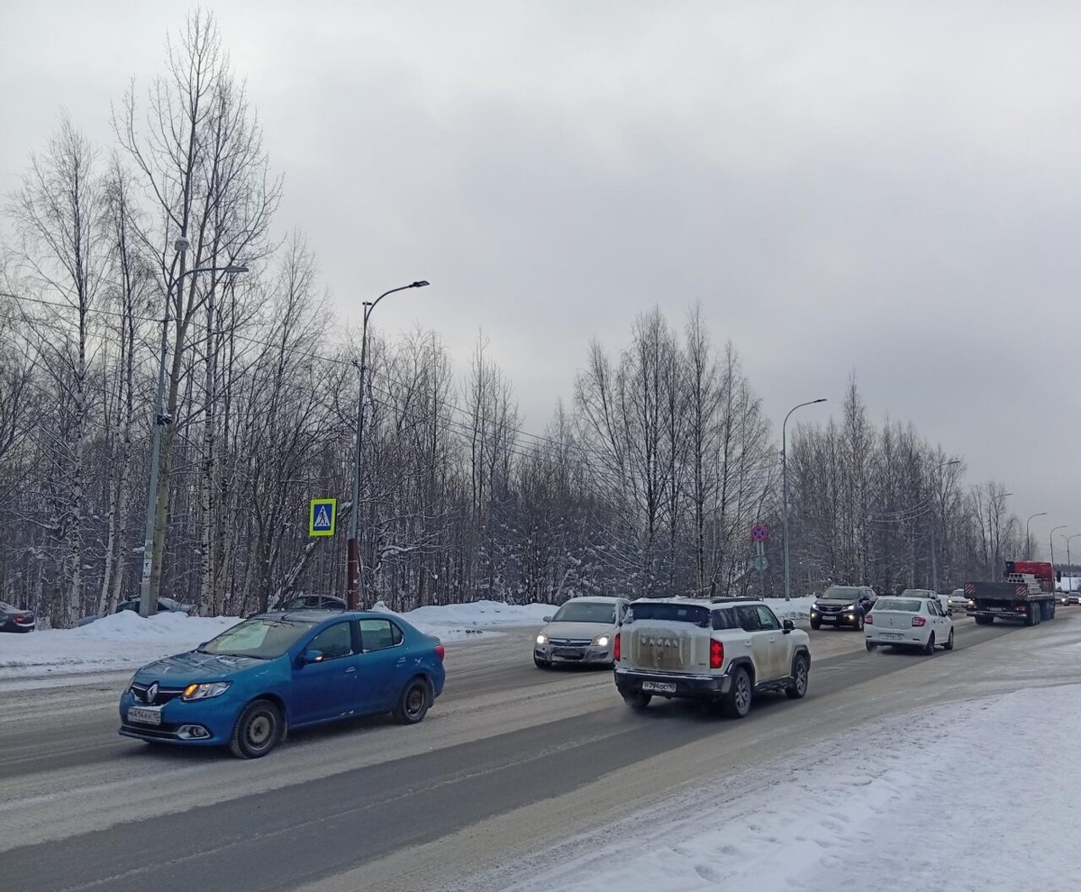    Фото: ГАИ Петрозаводска