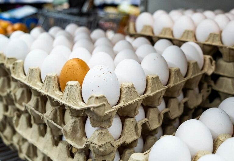    В Оренбуржье за год дешевели яйца и дорожал маникюр Алла Черкесатова