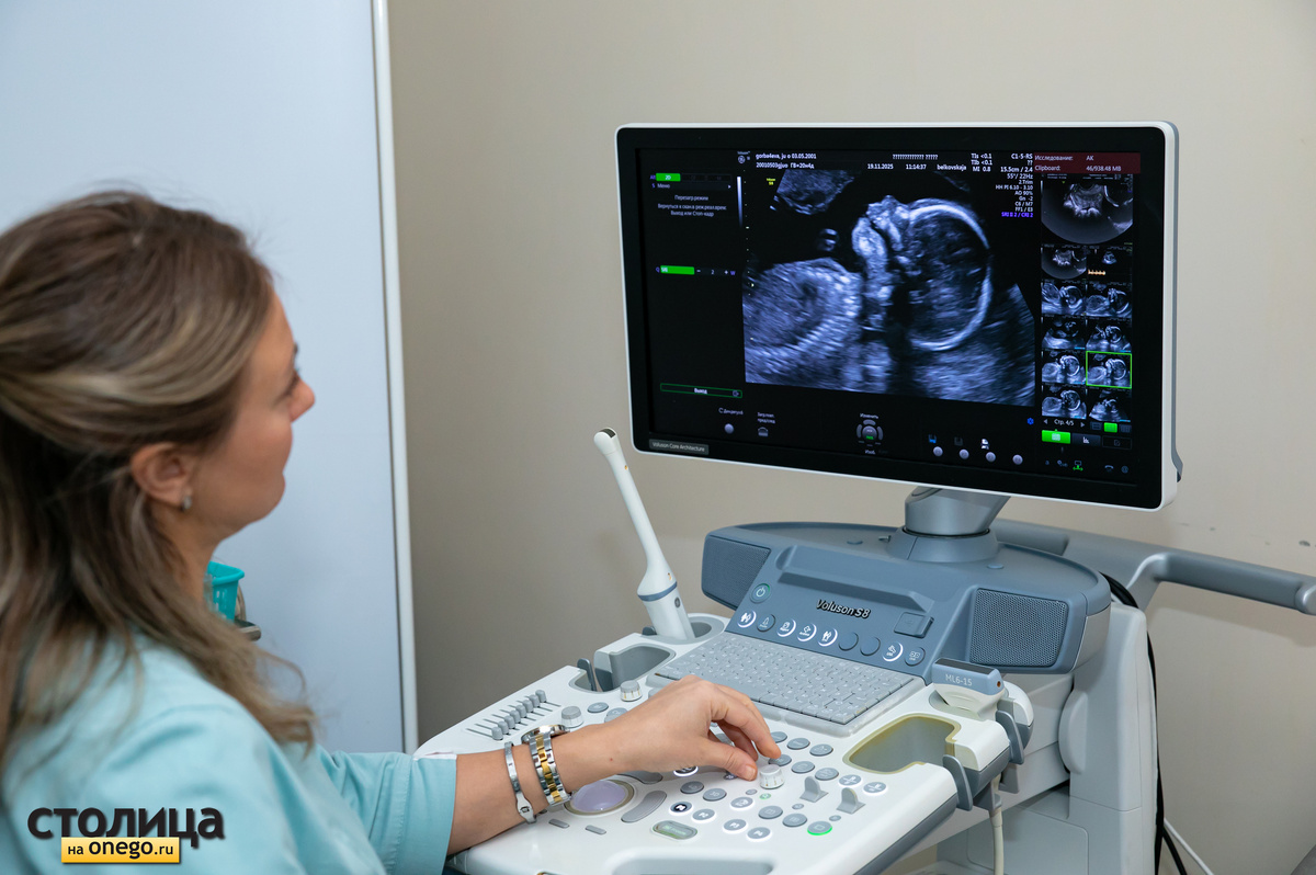    фото: © Столица на Онего