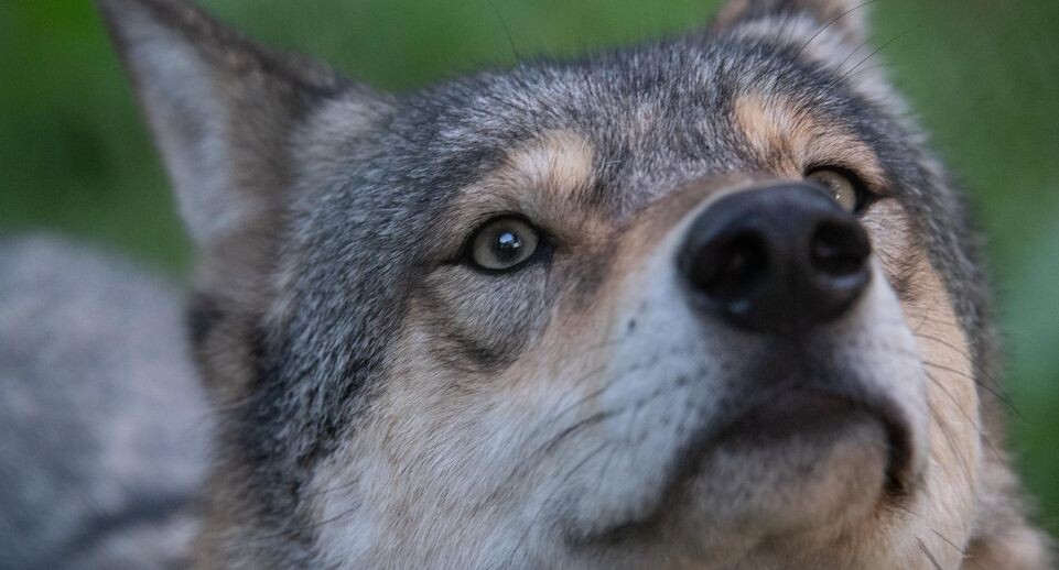    Bernd Weißbrod/dpa / www.globallookpress.com