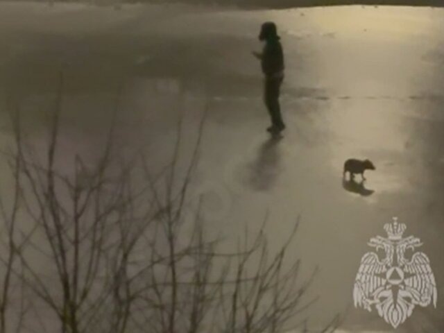    Фото: телеграм-канал "МЧС Калининградской области"