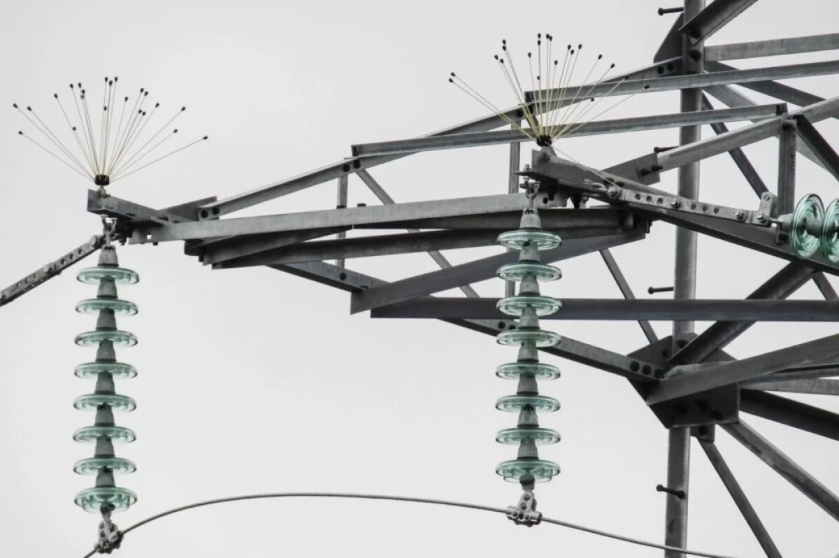    Свыше 4 тысяч птицезащитных устройств на ЛЭП установят энергетики в Югре