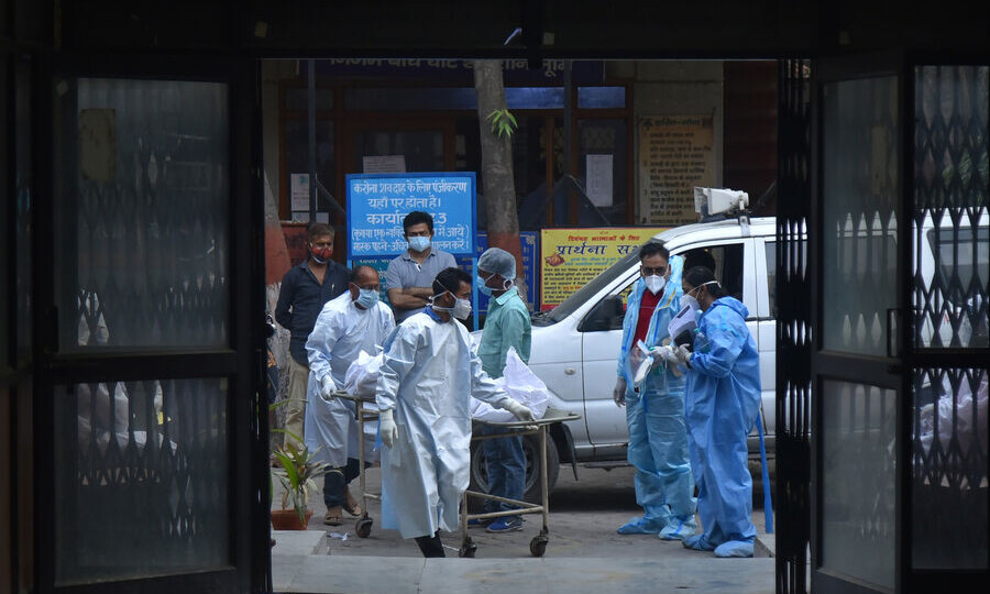 Минздрав Вьетнама приказал усилить эпидемиологический контроль из-за вируса Нипах