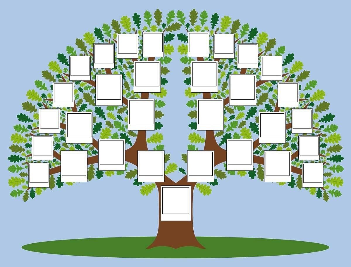 Семейные саги