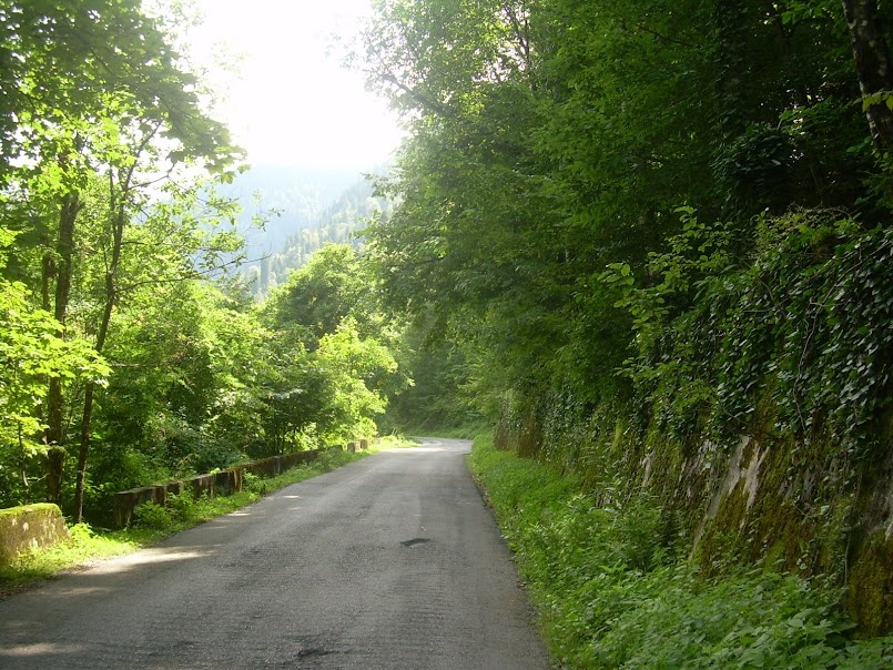 Абхазия, фото автора, примерно 2012 г