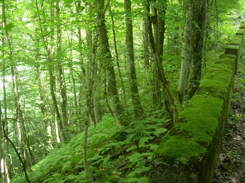 Абхазия, примерно 2012г