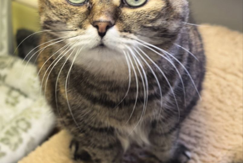 Всё это похоже на плохой сон