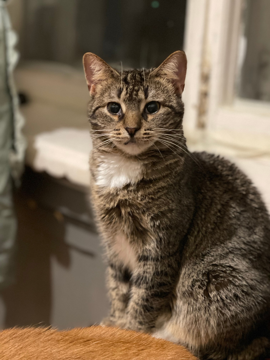 Я не виновата, что такая боевая выросла