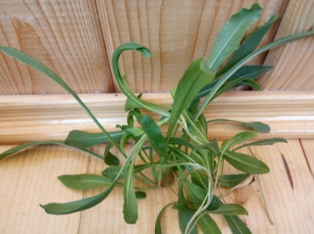 Фотография из личного архива автора