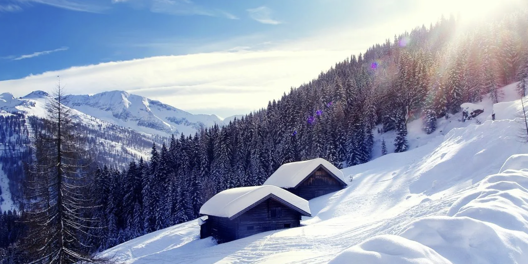 Карина - от слова “кара” | Если бы Netflix снимал сериал об австрийском политике