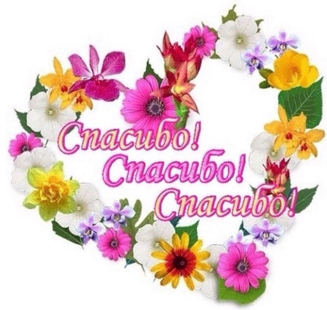 из интернета