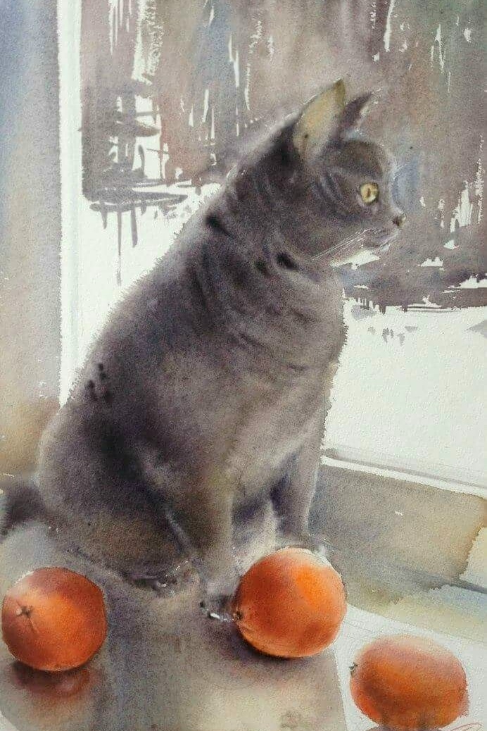 иллюстрация из яндекс картинки.