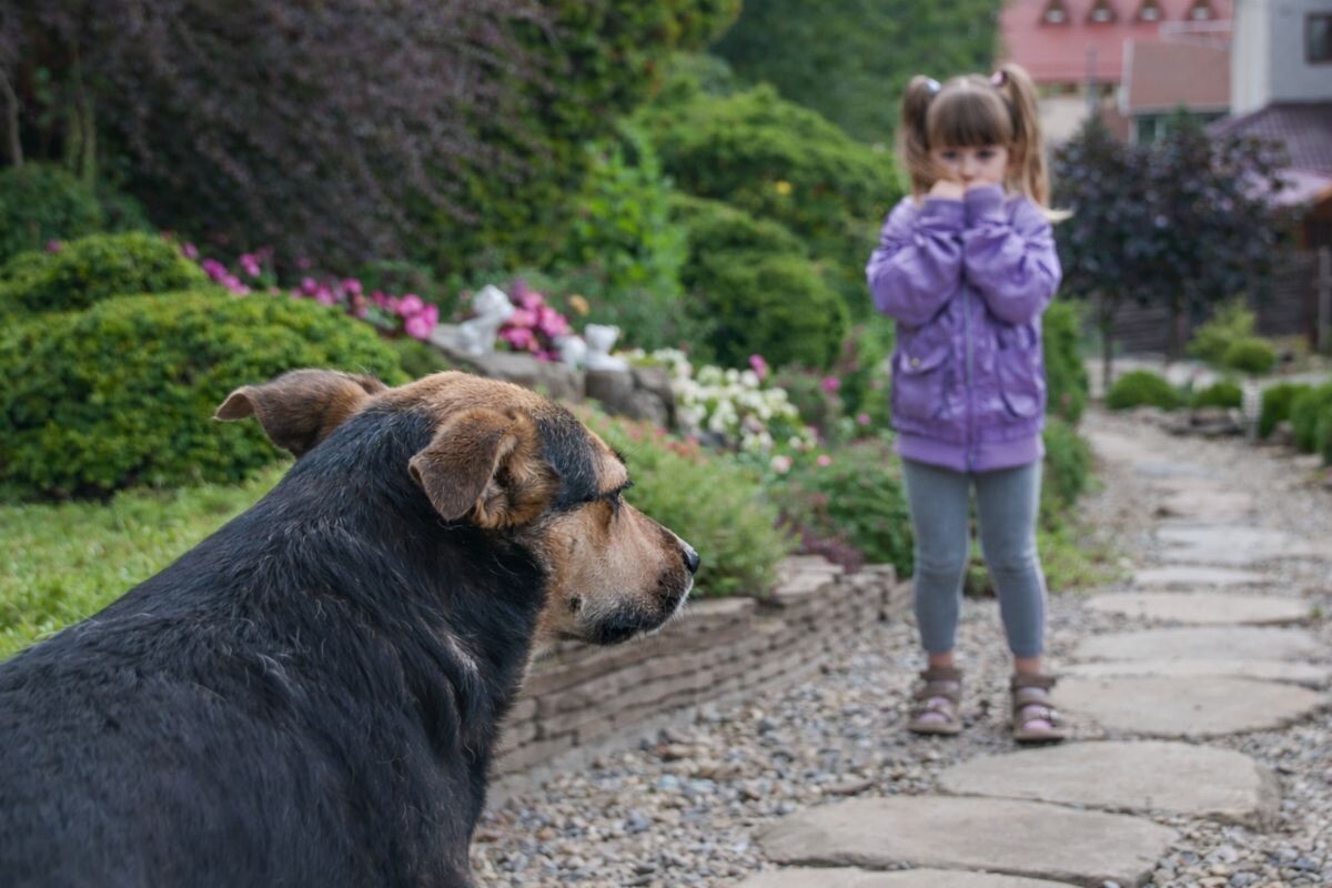 Почему собака рычит на ребёнка 