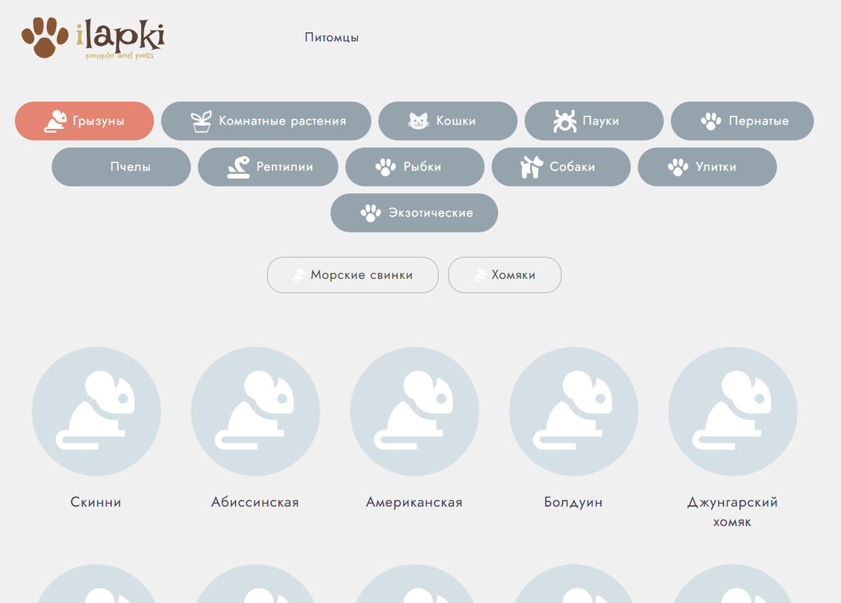 Грызуны и зубы зайцев (они разные оказыватся! )