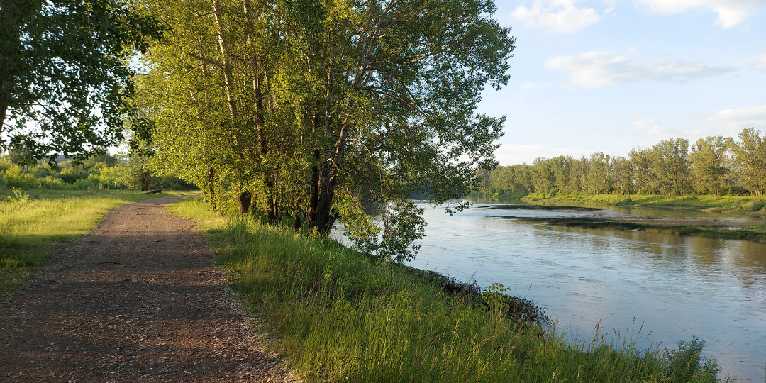 Сложный выбор. Часть 1199.